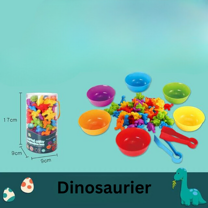 Educational Kids Color Sorting Toy
