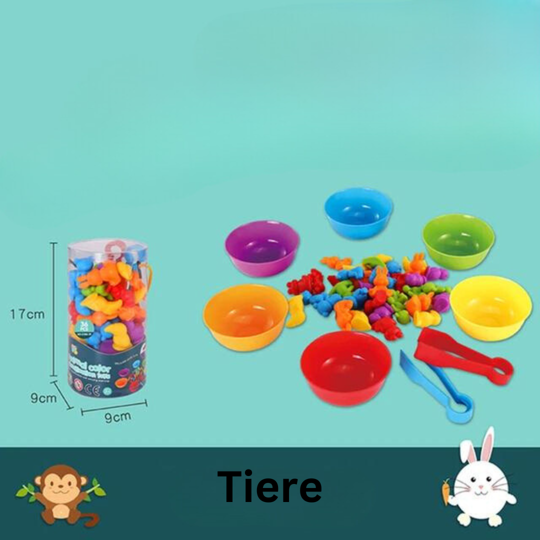 Educational Kids Color Sorting Toy