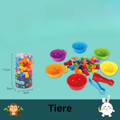 Educational Kids Color Sorting Toy