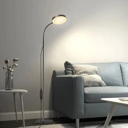 Modern Bright Floor Lamp