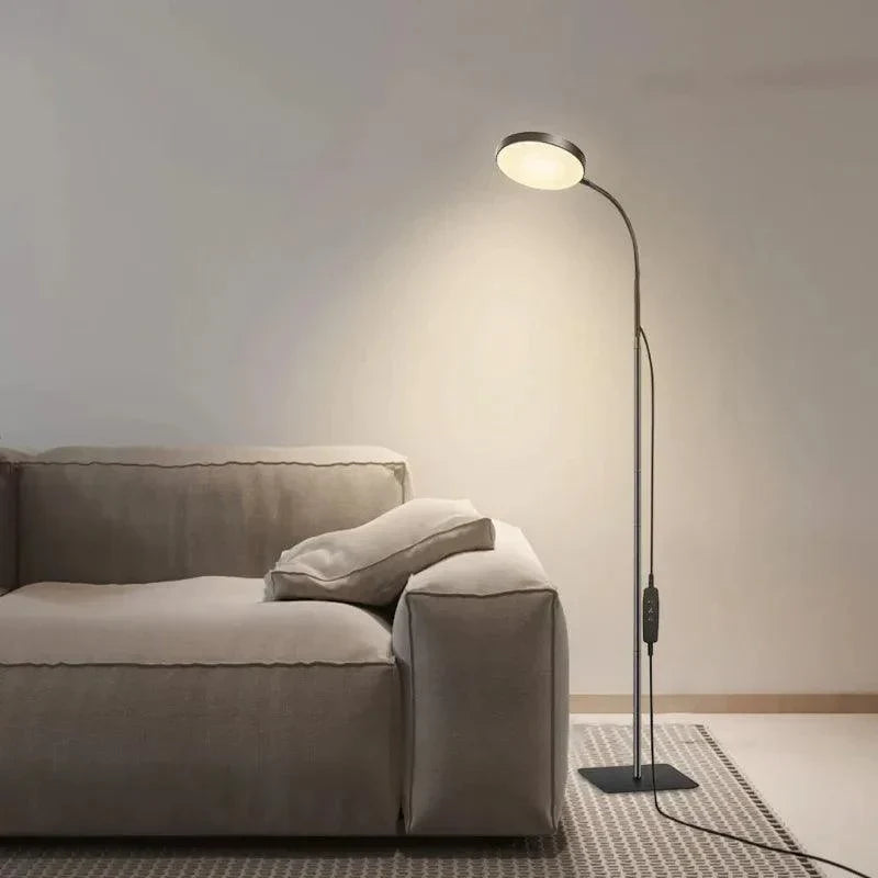 Modern Bright Floor Lamp