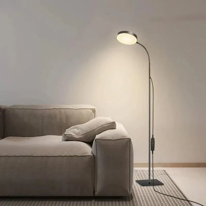 Modern Bright Floor Lamp