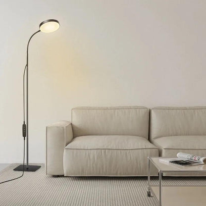 Modern Bright Floor Lamp