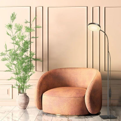 Modern Bright Floor Lamp