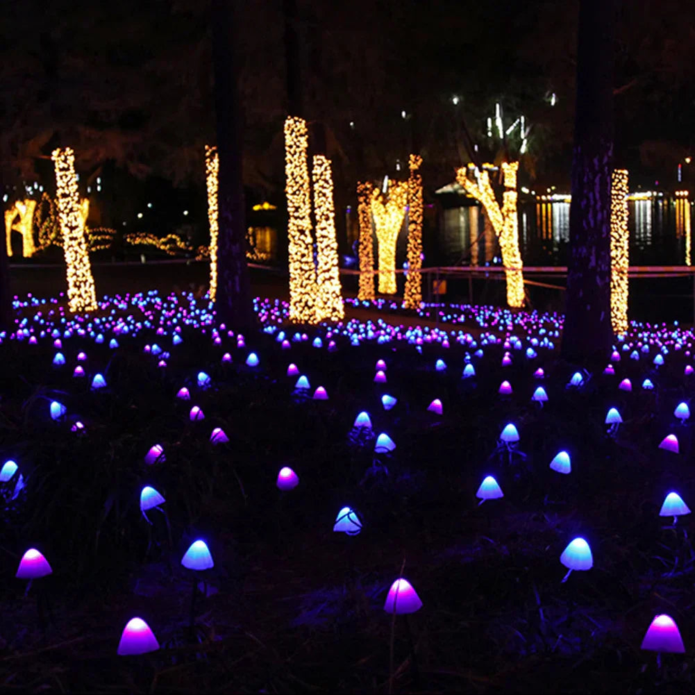 Colorful Outdoor Solar Powered Lights