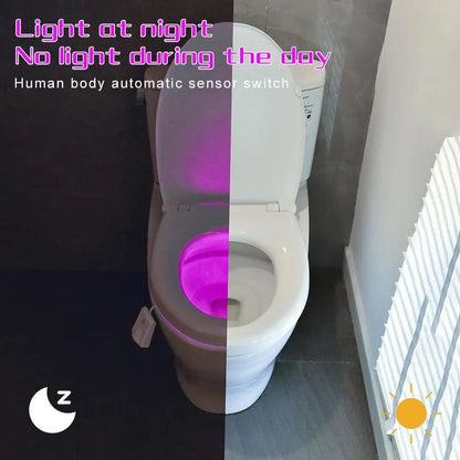 Motion Activated LED Toilet Night Light