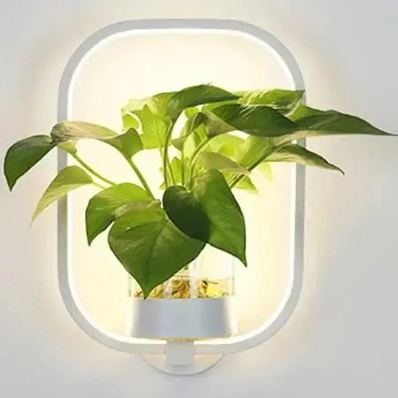 Contemporary LED Wall Lamp Soft Glow