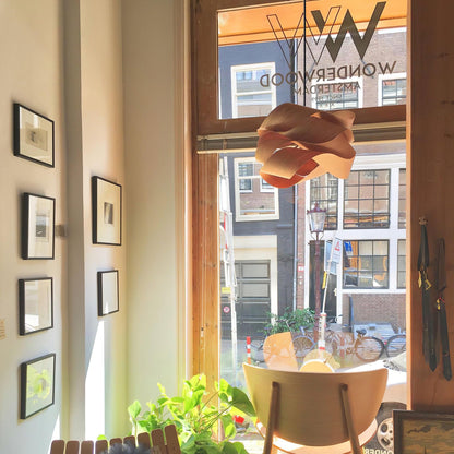 Contemporary Hanging Ceiling Light