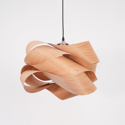 Contemporary Hanging Ceiling Light