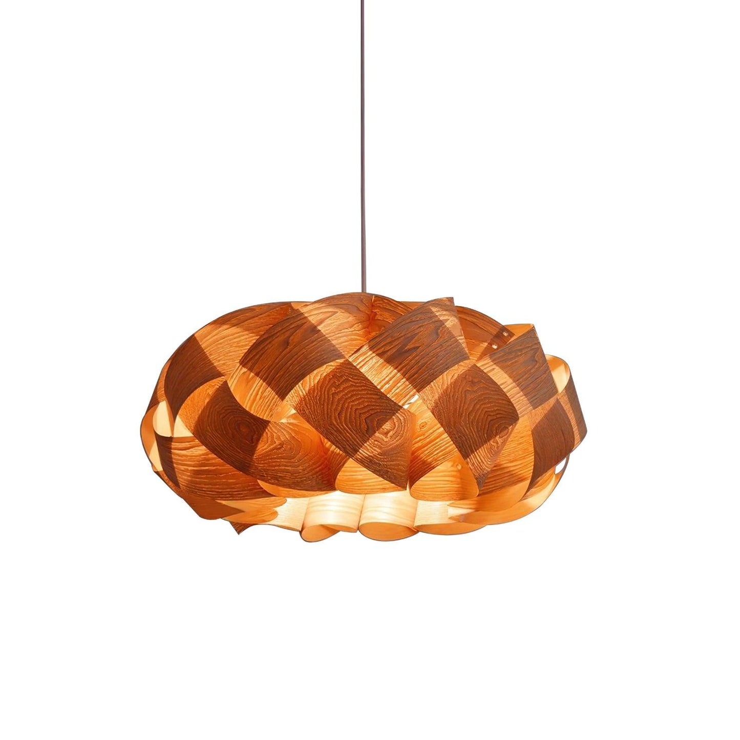 Contemporary Hanging Ceiling Light
