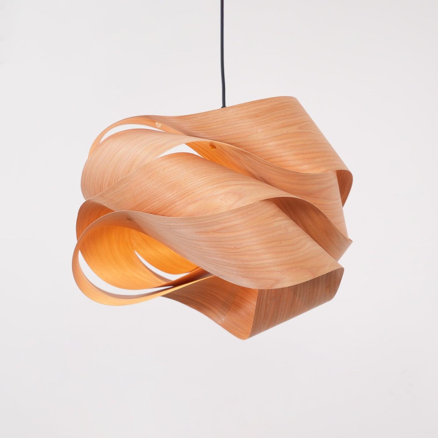 Contemporary Hanging Ceiling Light