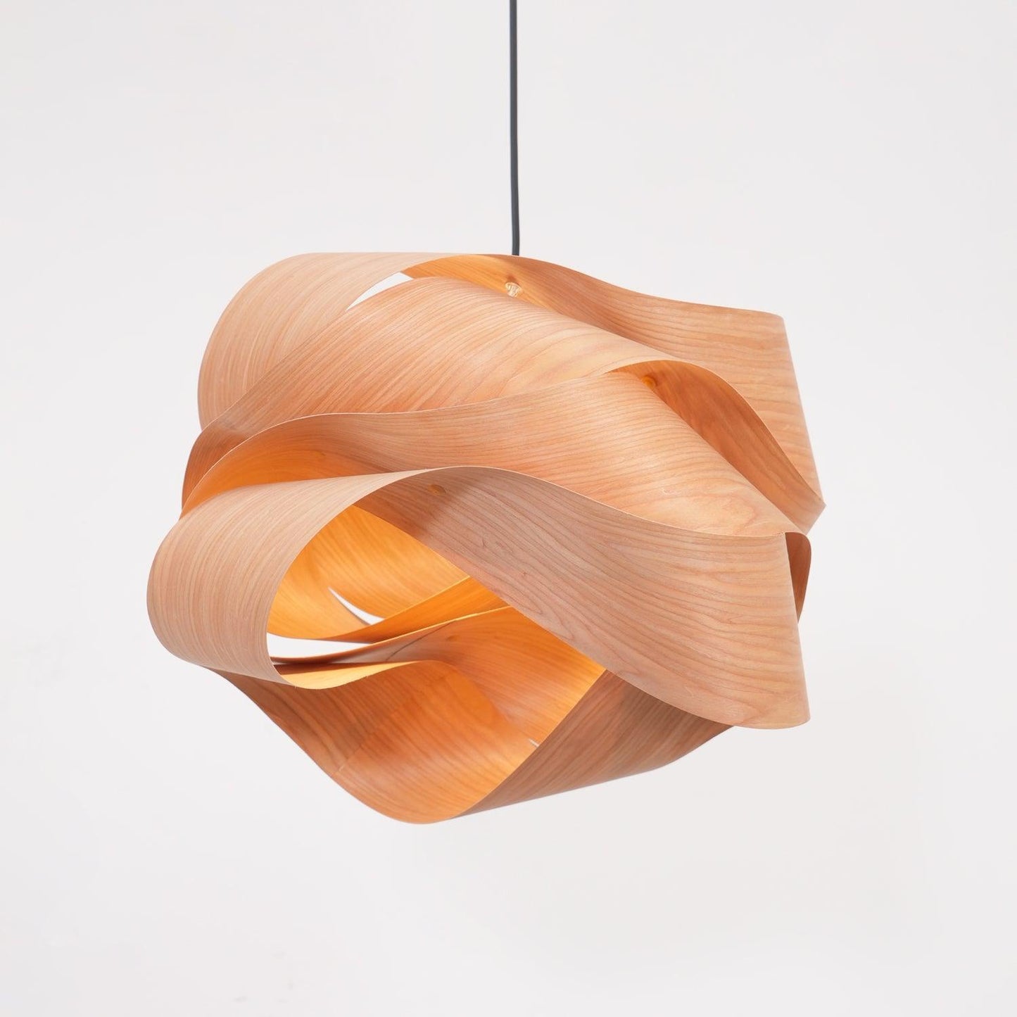 Contemporary Hanging Ceiling Light