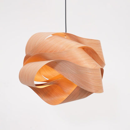 Contemporary Hanging Ceiling Light