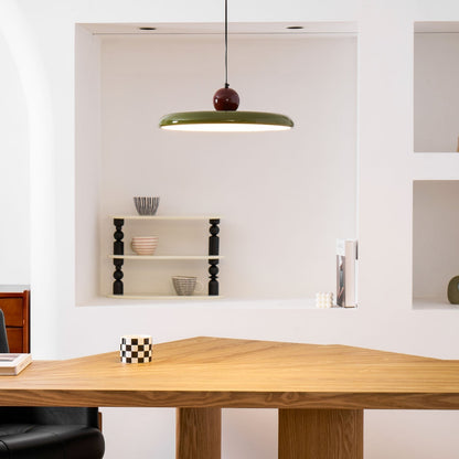 Stylish Round LED Hanging Light Fixture