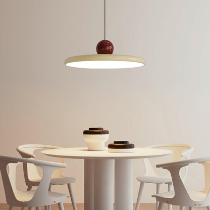 Stylish Round LED Hanging Light Fixture