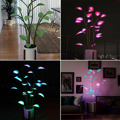 Colorful LED Flower Pot Lamp - Fesara