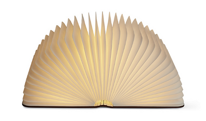 Fesara Compact Folding Book Light