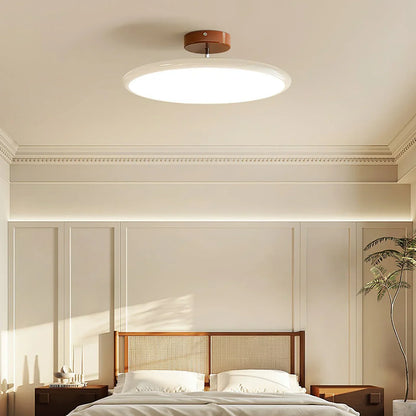 Slim Modern Dimmable Ceiling Lamp