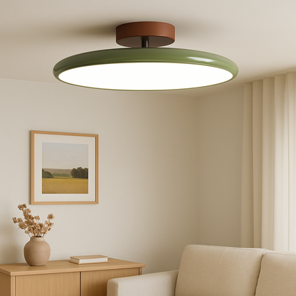 Slim Modern Dimmable Ceiling Lamp