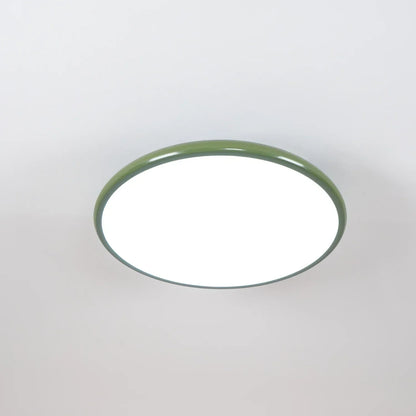 Slim Modern Dimmable Ceiling Lamp