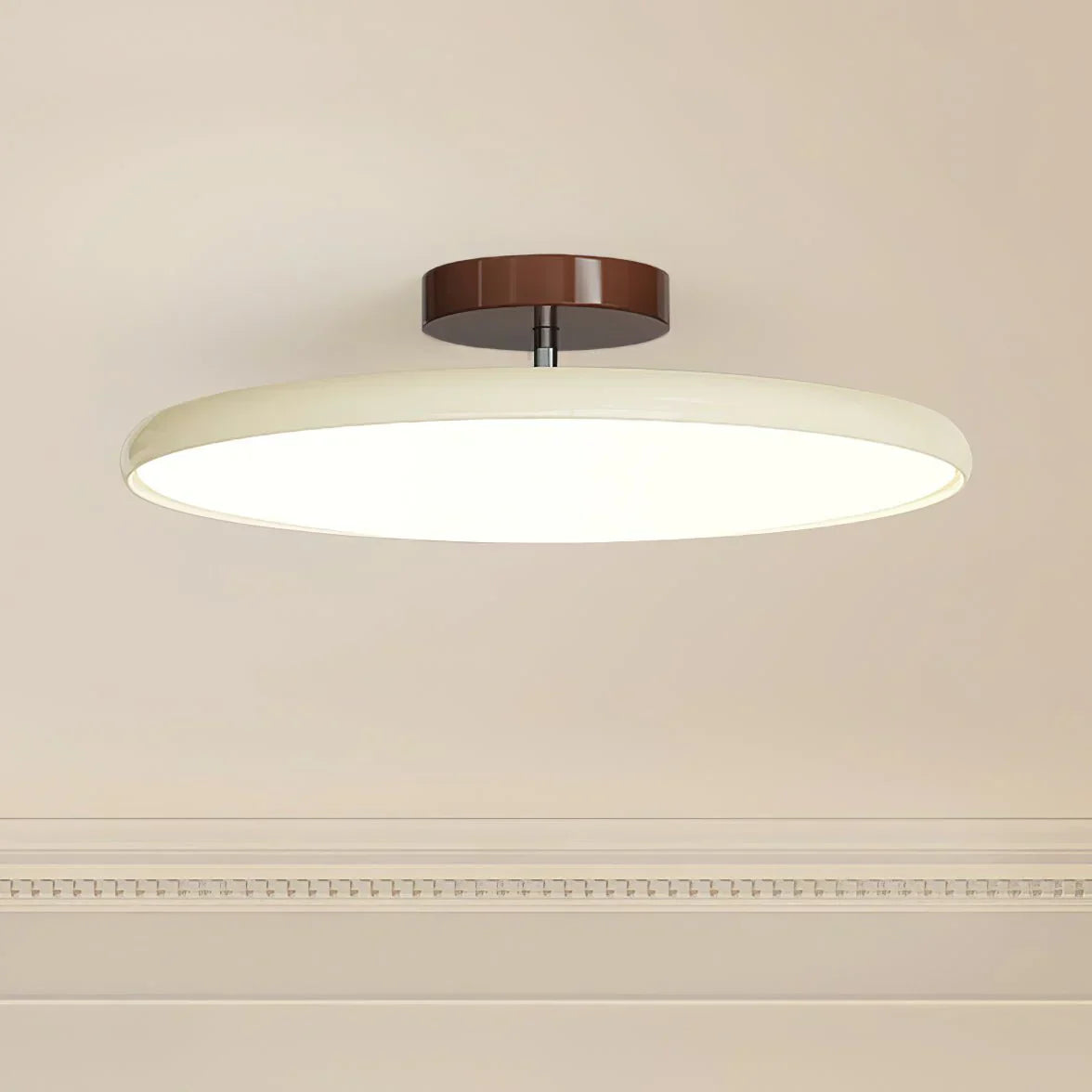 Slim Modern Dimmable Ceiling Lamp