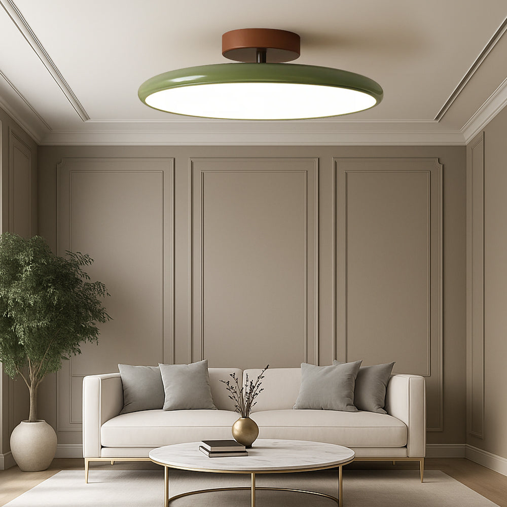Slim Modern Dimmable Ceiling Lamp