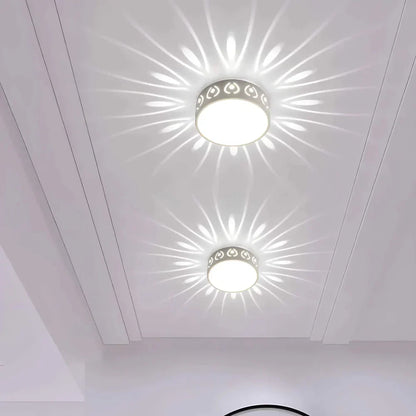 Eco Friendly Bright LED Ceiling Lamp