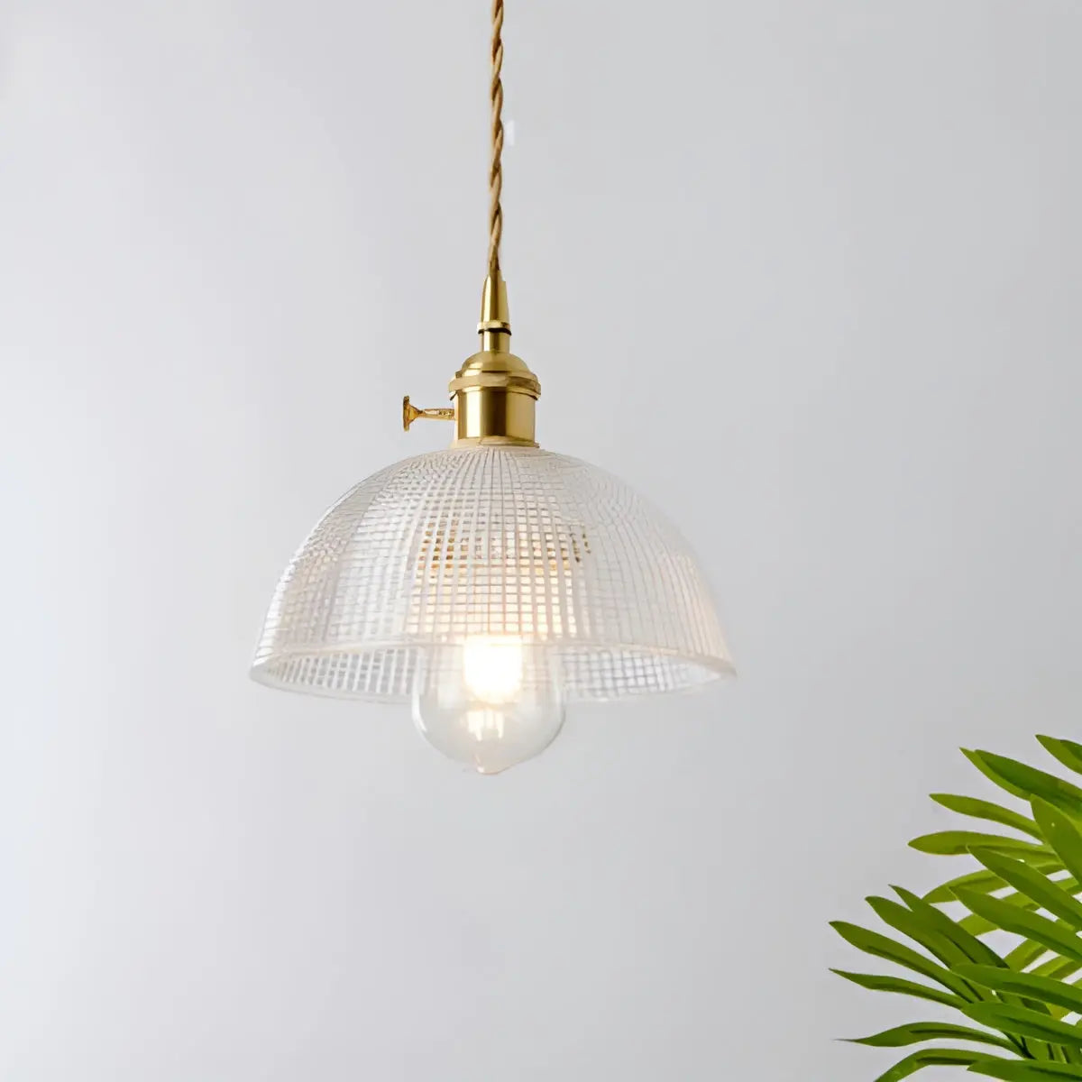 Elegant Modern LED Chandelier Lighting Fixture
