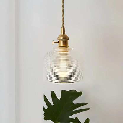 Elegant Modern LED Chandelier Lighting Fixture