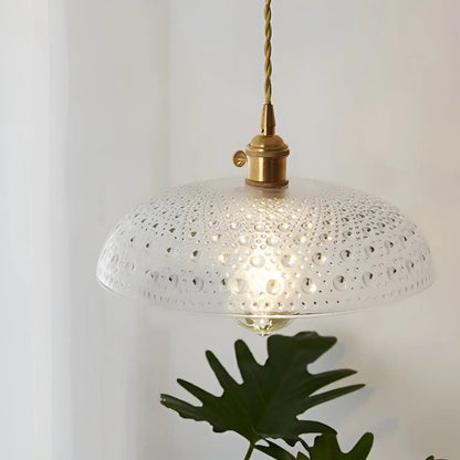 Elegant Modern LED Chandelier Lighting Fixture