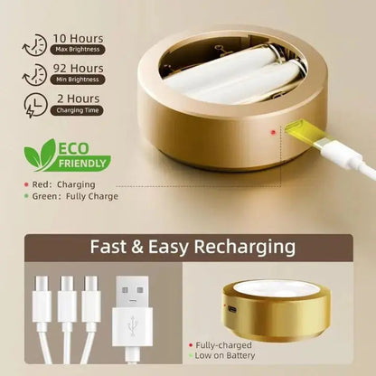Bright LED Photo Display Light