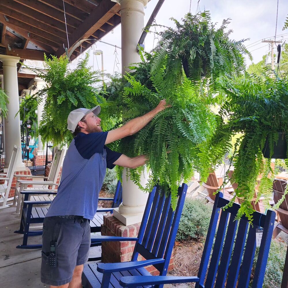 Durable Outdoor Artificial Boston Fern Plant