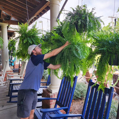 Durable Outdoor Artificial Fern Plant