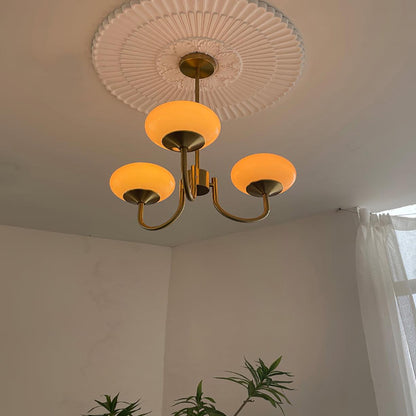 Soft White Pendant Light Chandelier