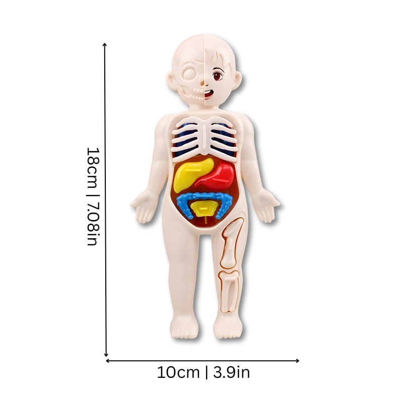 Slimming Body Shaper