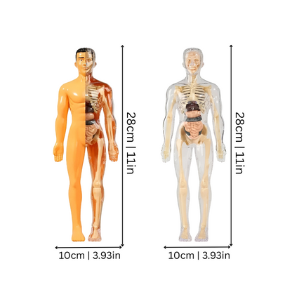Fesara Fitness Tracker 
BodyQuest Sports Watch