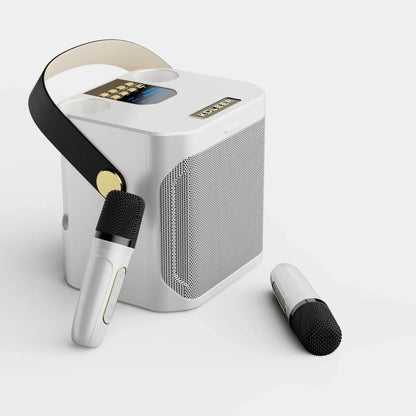 Portable Karaoke System | 2 Wireless Mics With Surround Sound