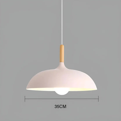 Modern Oak LED Ceiling Light Fixture
