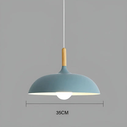 Modern Oak LED Ceiling Light Fixture