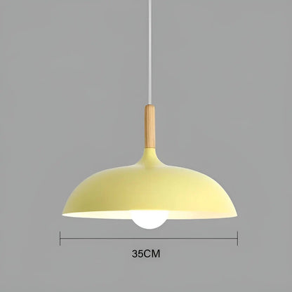 Modern Oak LED Ceiling Light Fixture