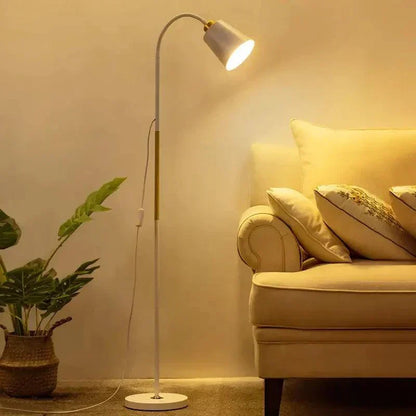 Stylish Home Floor Lamp with LED Light