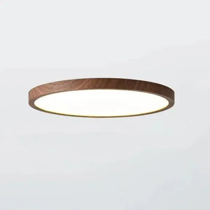 Slim LED Round Ceiling Lamp