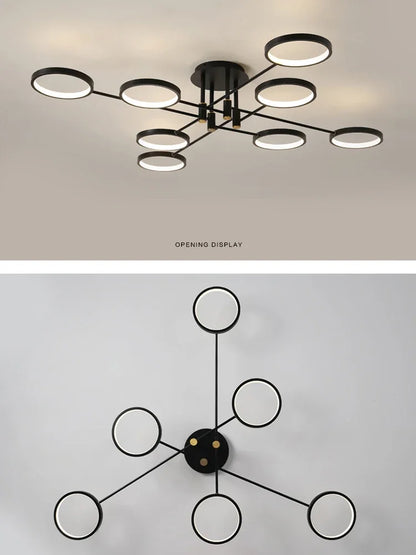Luxury Modern LED Lighting Fixture