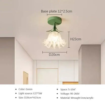 Modern Bright Ceiling Light