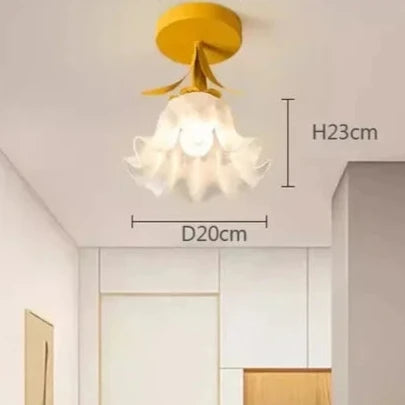 Beautiful Modern Ceiling Light