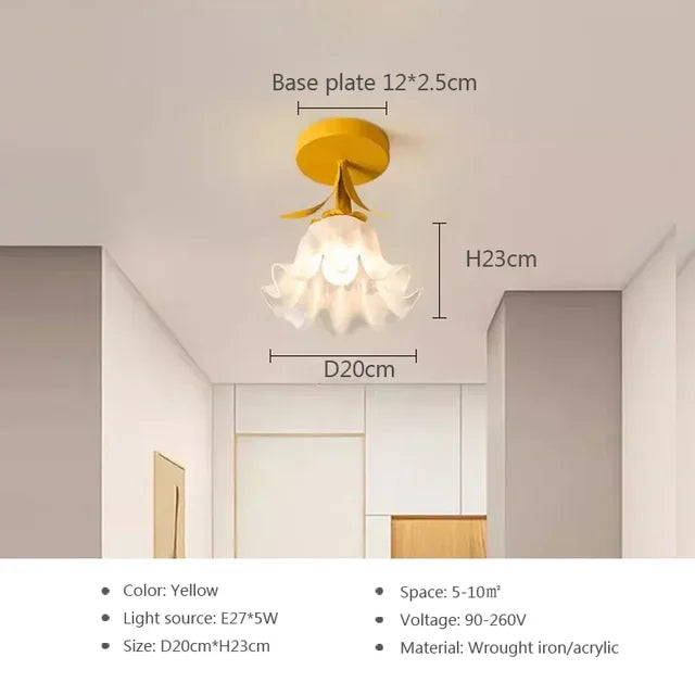Modern Bright Ceiling Light