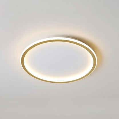 Stylish Ceiling Lamp - Home Lighting