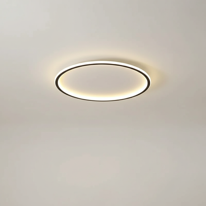 Stylish Ceiling Lamp - Home Lighting