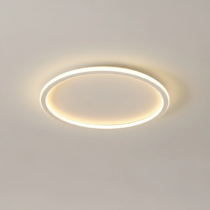 Stylish Ceiling Lamp - Home Lighting