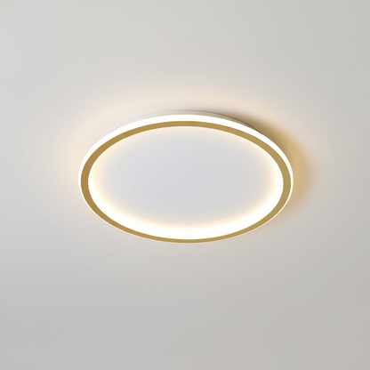Stylish Ceiling Lamp - Home Lighting